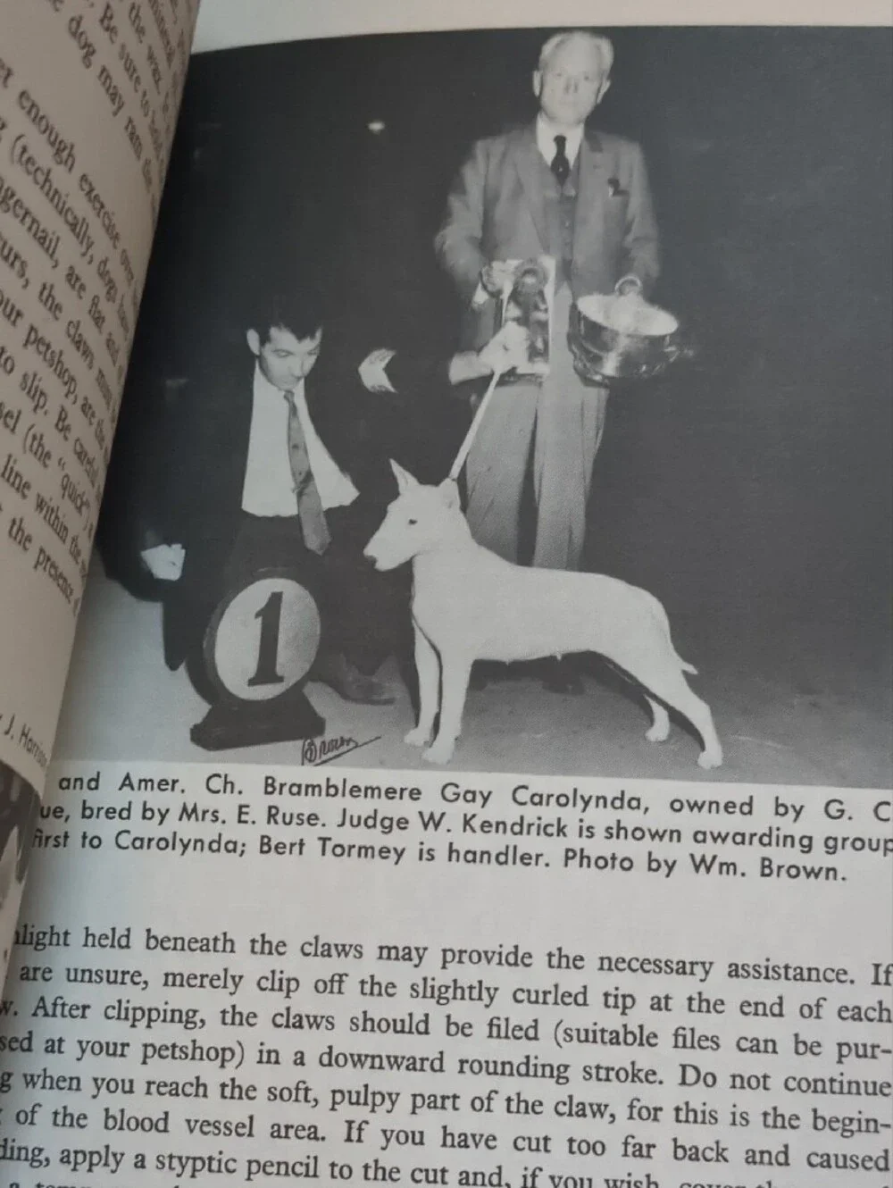 1973 Copy Bull Terrier Training Guide - Red Cover
